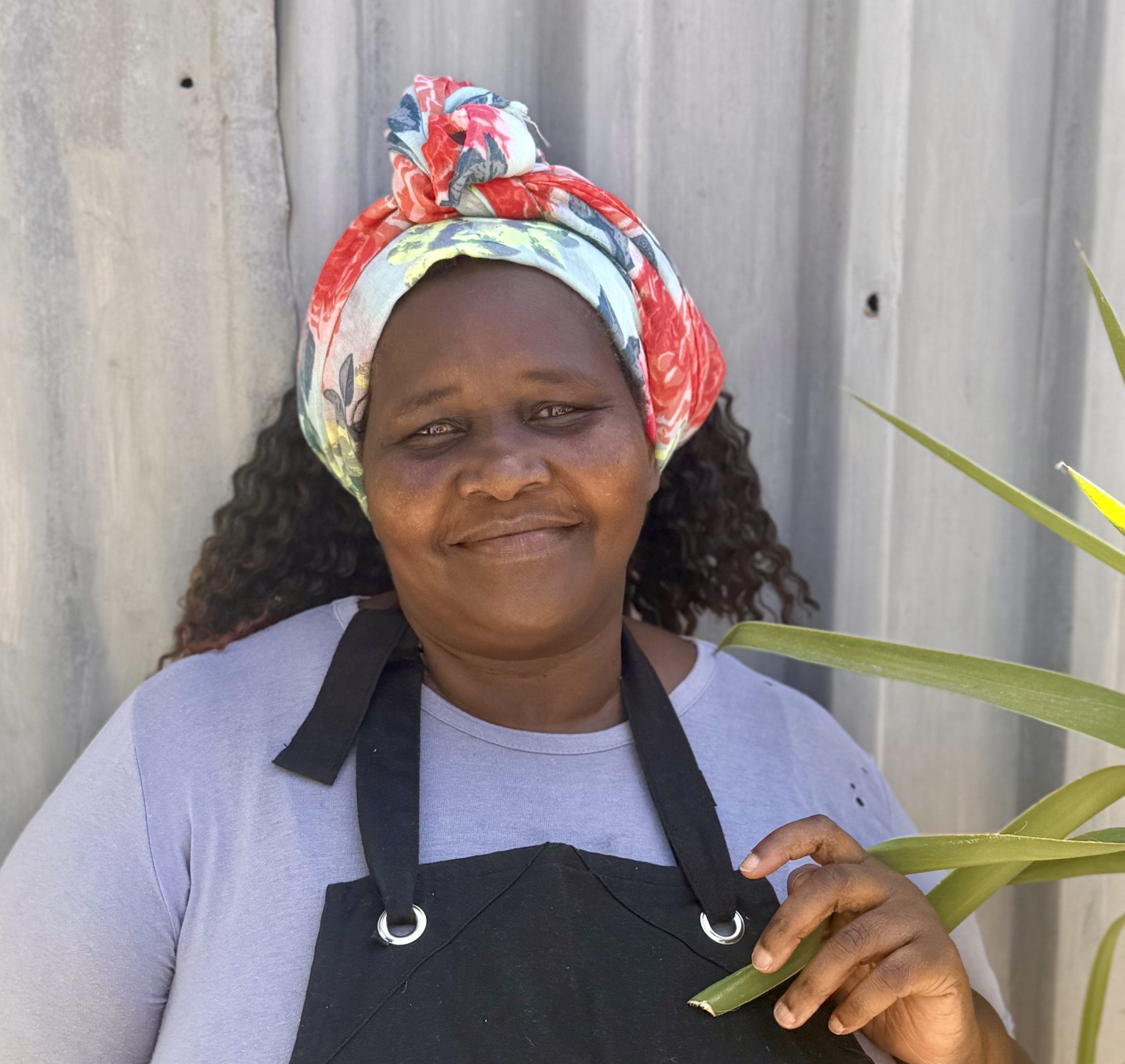 Nomarusia Madolo